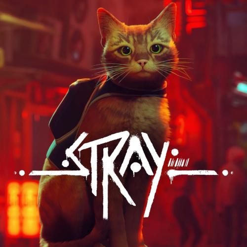 Stray 2022 torrent